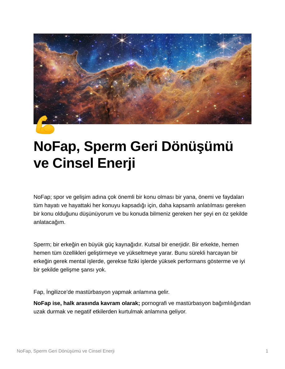 NoFap: Sperm Geri Dönüşümü ve Cinsel Enerji PDF İndir
