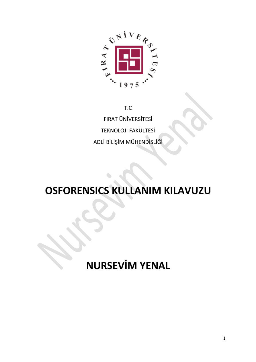 OSForensics Kullanım Kılavuzu PDF İndir
