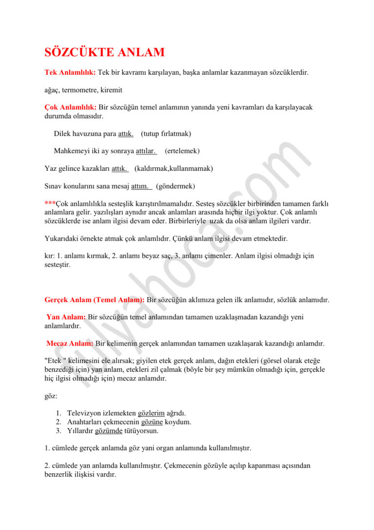 TR TÜRKÇE TÜM KONULAR Kitap Kapağı
