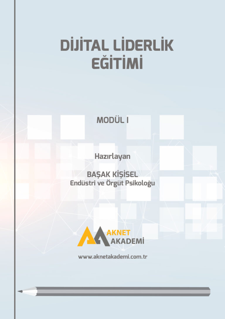 Dijital Liderlik Eğitimi Modül 1 PDF İndir - Başak Kişisel 9 TR DİJİTAL LİDERLİK EĞİTİMİ MODÜL 1 BAŞAK KİŞİSEL Kitap Kapağı