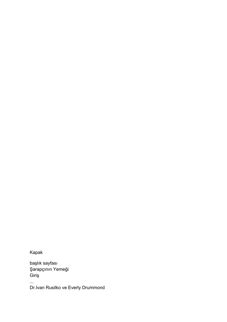 Giriş PDF İndir