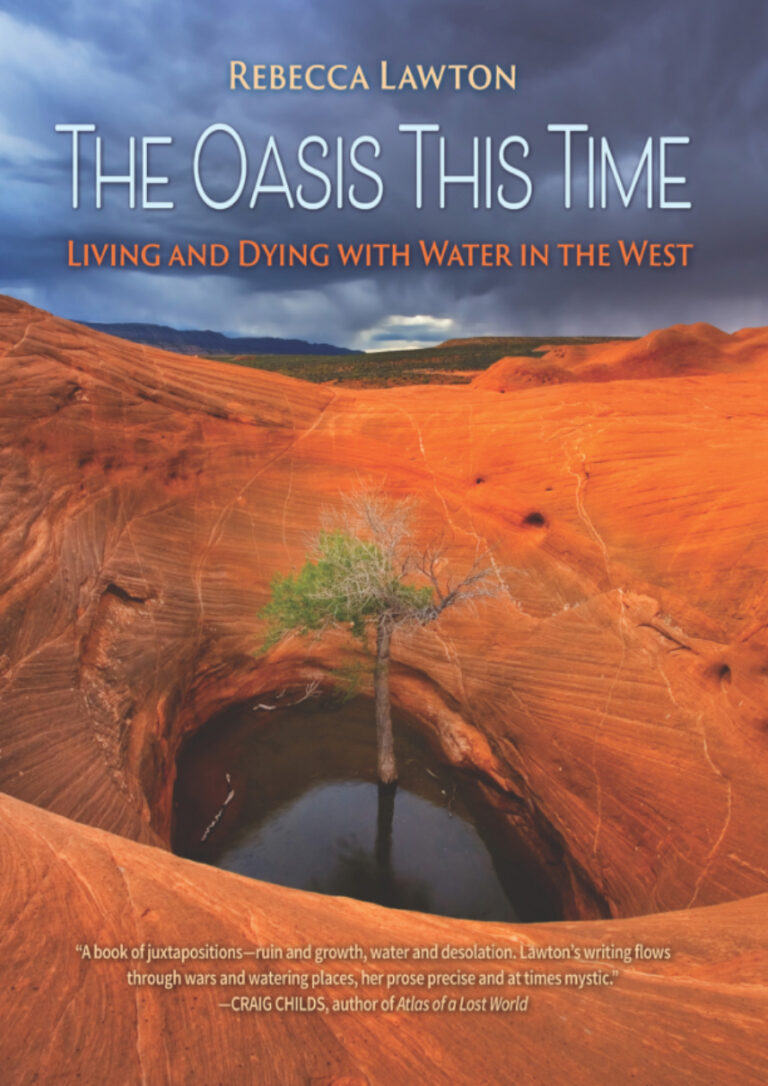 TR The Oasis This Time Rebecca Lawton Kitap Kapağı
