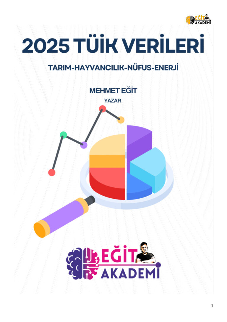 TÜİK VERİLERİ 2025 Kitap Kapağı