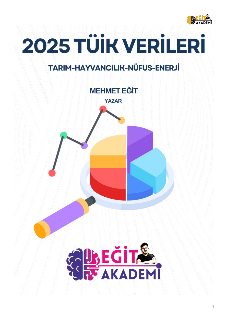 TÜİK VERİLERİ 2025 PDF İndir – TÜİK