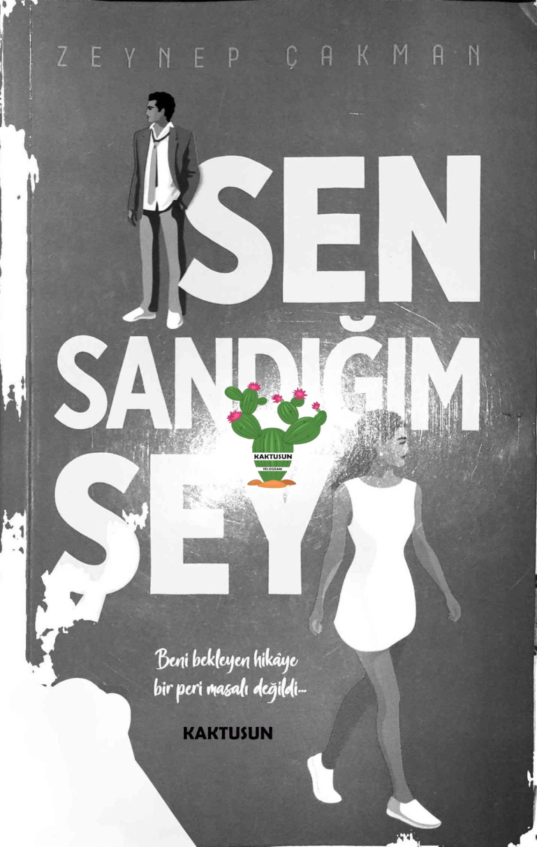 Sen Sandığım Şey PDF İndir – Zeynep Çakman