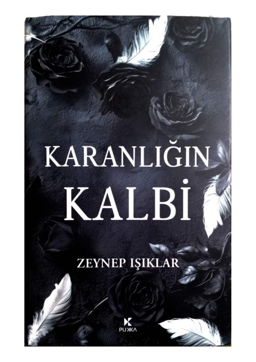 Karanlığın Kalbi PDF İndir