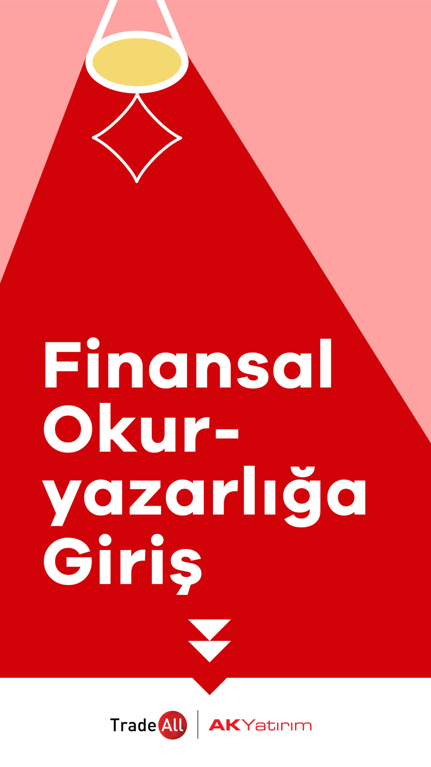 Finansal Okuryazarlığa Giriş PDF İndir