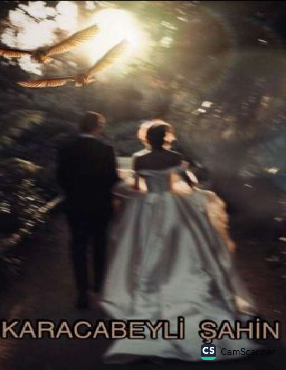 Karacabeyli Wattpad Kitap Evreni PDF İndir – Bilinmiyor