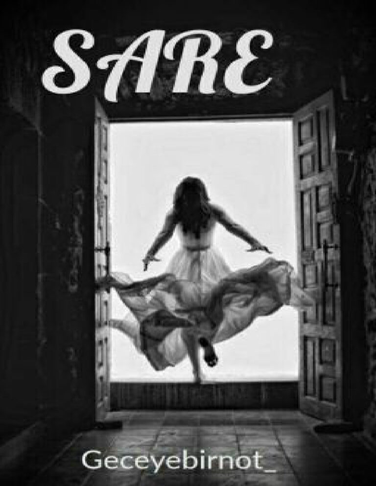 sare tamamland 251493609 Kitap Kapağı