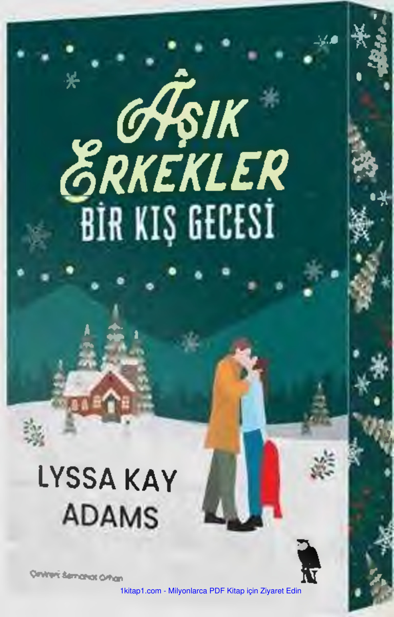 temp Asik Erkekler Bir Kis Gecesi Lyssa Kay Adams 1kitap1.com