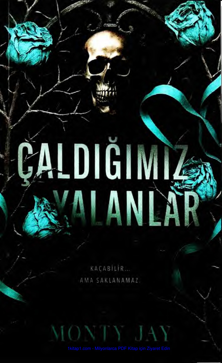 temp Caldigimiz Yalanlar 1 Monty Jay 1kitap1.com