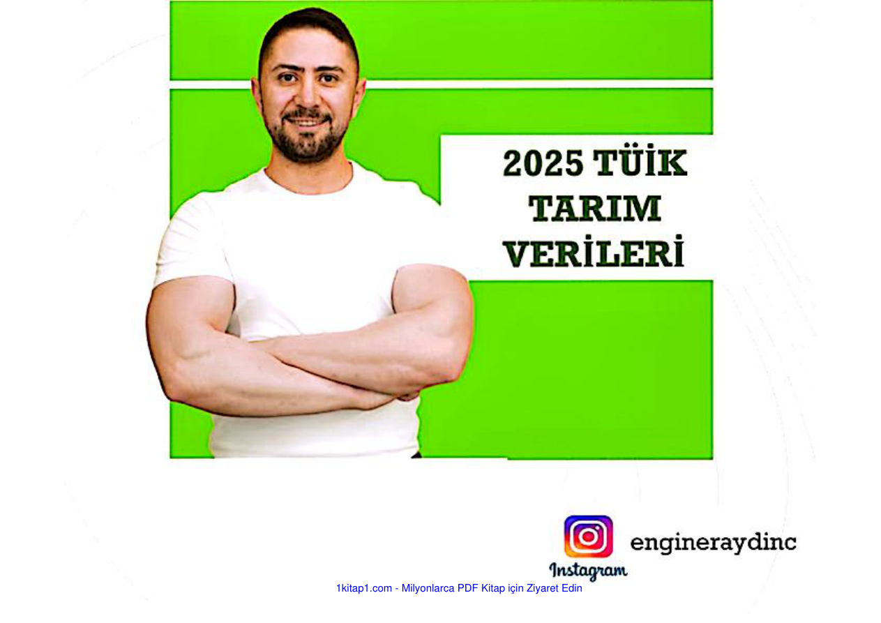 temp Engin eraydin toplu tuik verileri 1kitap1.com