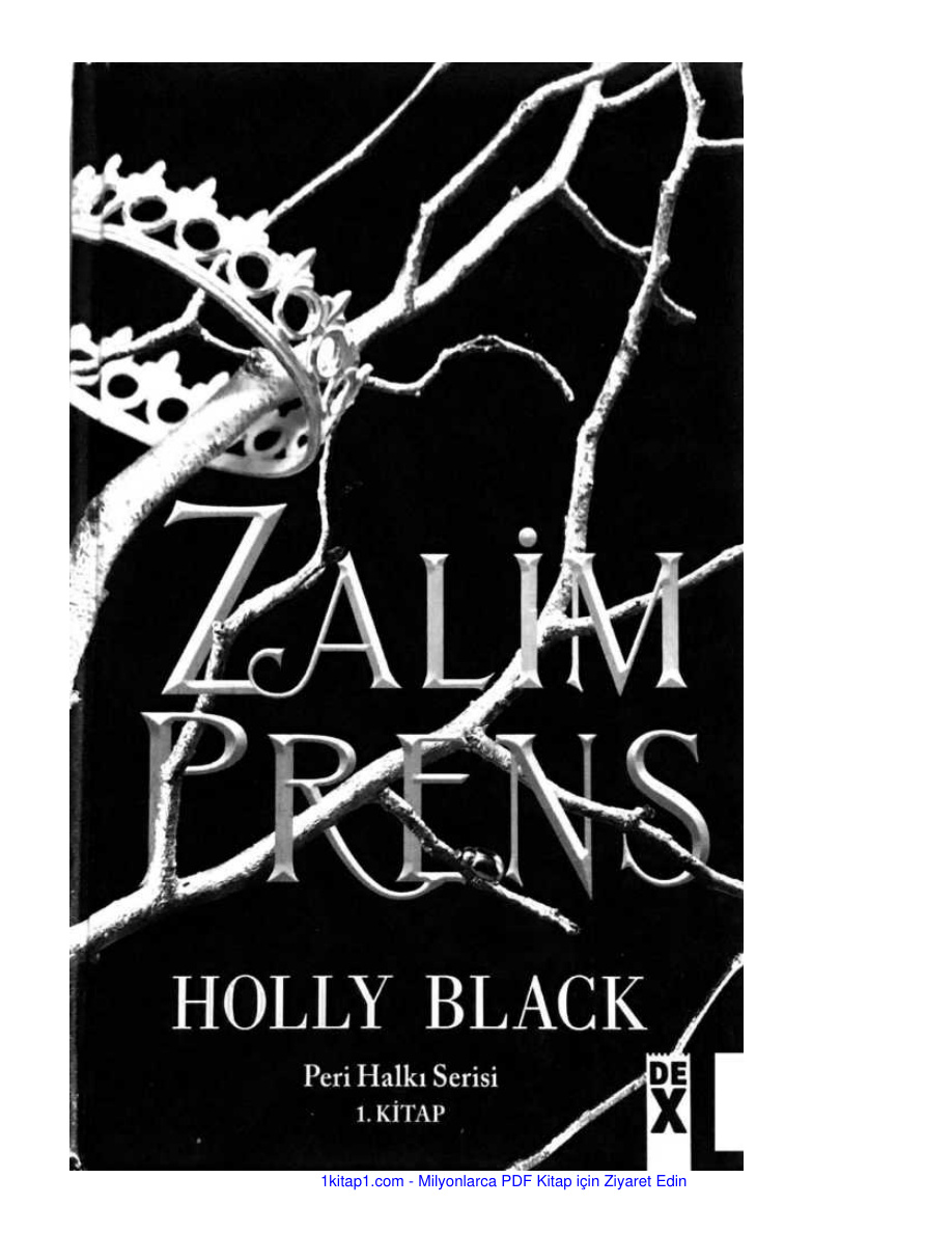 temp Holly Black Zalim Prens 1kitap1.com