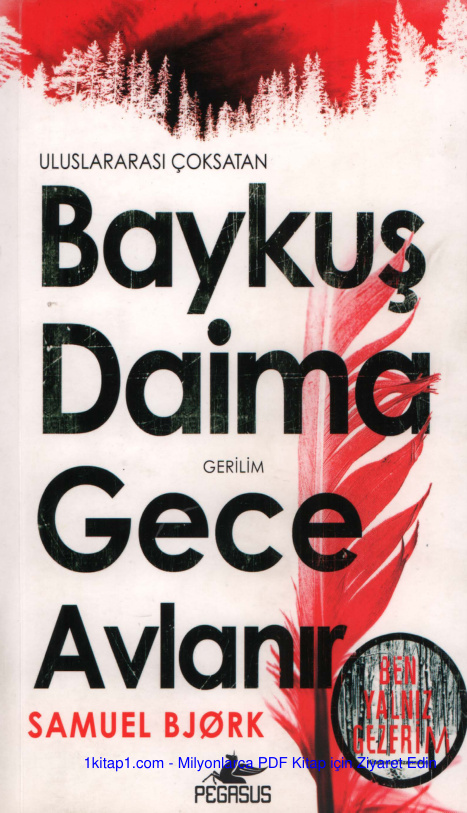 temp Samuel Bjork Baykus Daima Gece Avlanir 1kitap1.com