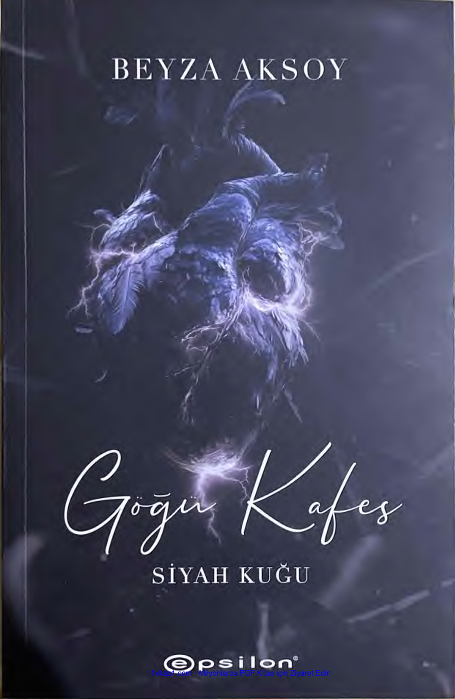 temp Siyah Kugu 3 Gogu Kafes Beyza Aksoy 1kitap1.com