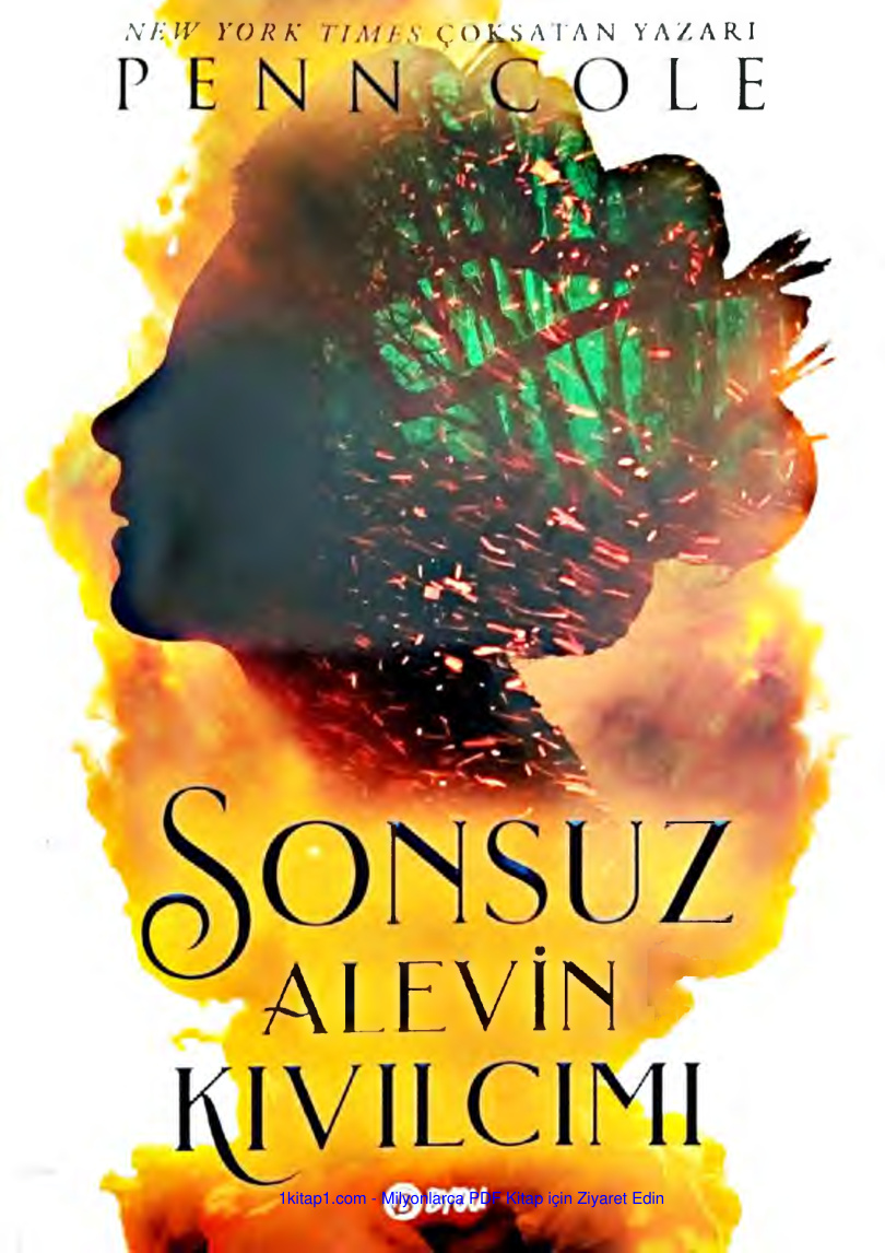 temp Sonsuz Alevin Kivilcimi 1 Penn Cole 1kitap1.com