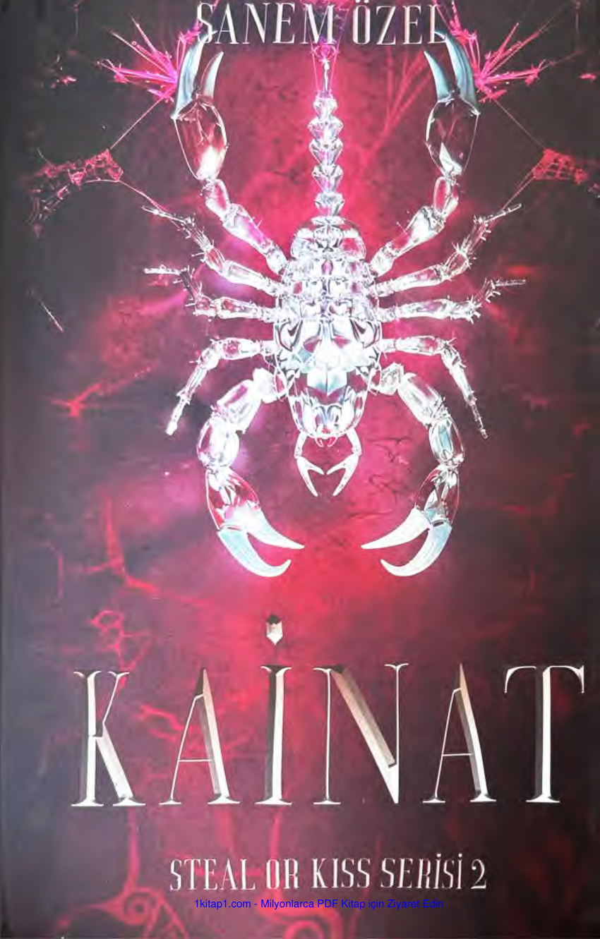temp Steal or Kiss 2 Kainat Sanem Ozel zm.N 1kitap1.com
